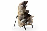 Dark Smoky Quartz Crystal Cluster on Metal Stand - Brazil #330460-2